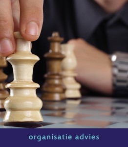 organisatie advies QPR